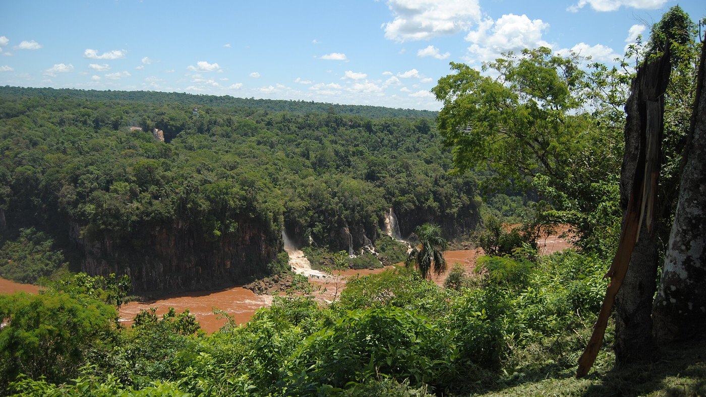 Mata densa vista do alto, com um rio barrento e quedas de água ao fundo