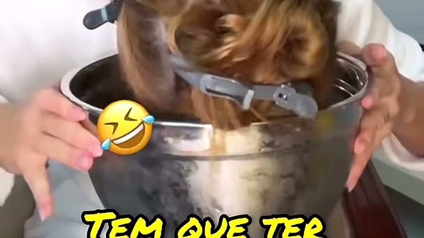Virginia Fonseca com o rosto mergulhado no balde de gelo, no vídeo da trend de água com gelo no rosto