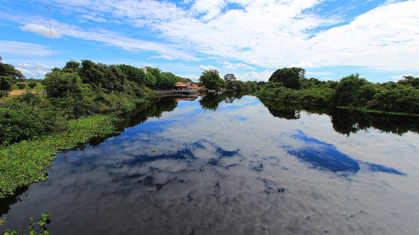 Rio do Pantanal com águas paradas, cercado por vegetação, o tipo de ambiente onde vivem as arraias de água doce