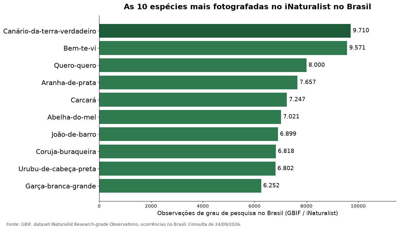 Gráfico de barras com as dez espécies mais fotografadas no iNaturalist no Brasil