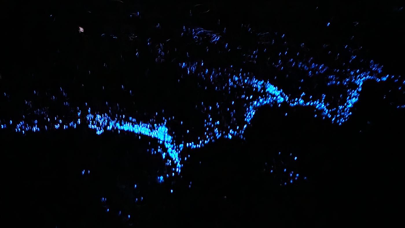 Areia da praia coberta por pontos de brilho azul de bioluminescência, à noite.
