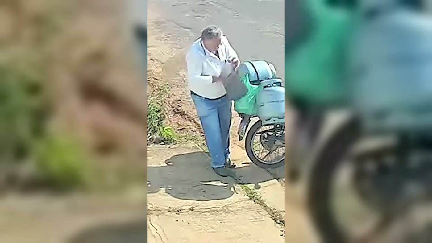 Cachorro caramelo furta a bolsa de um entregador de gás em João Pinheiro, flagrado por câmera de segurança