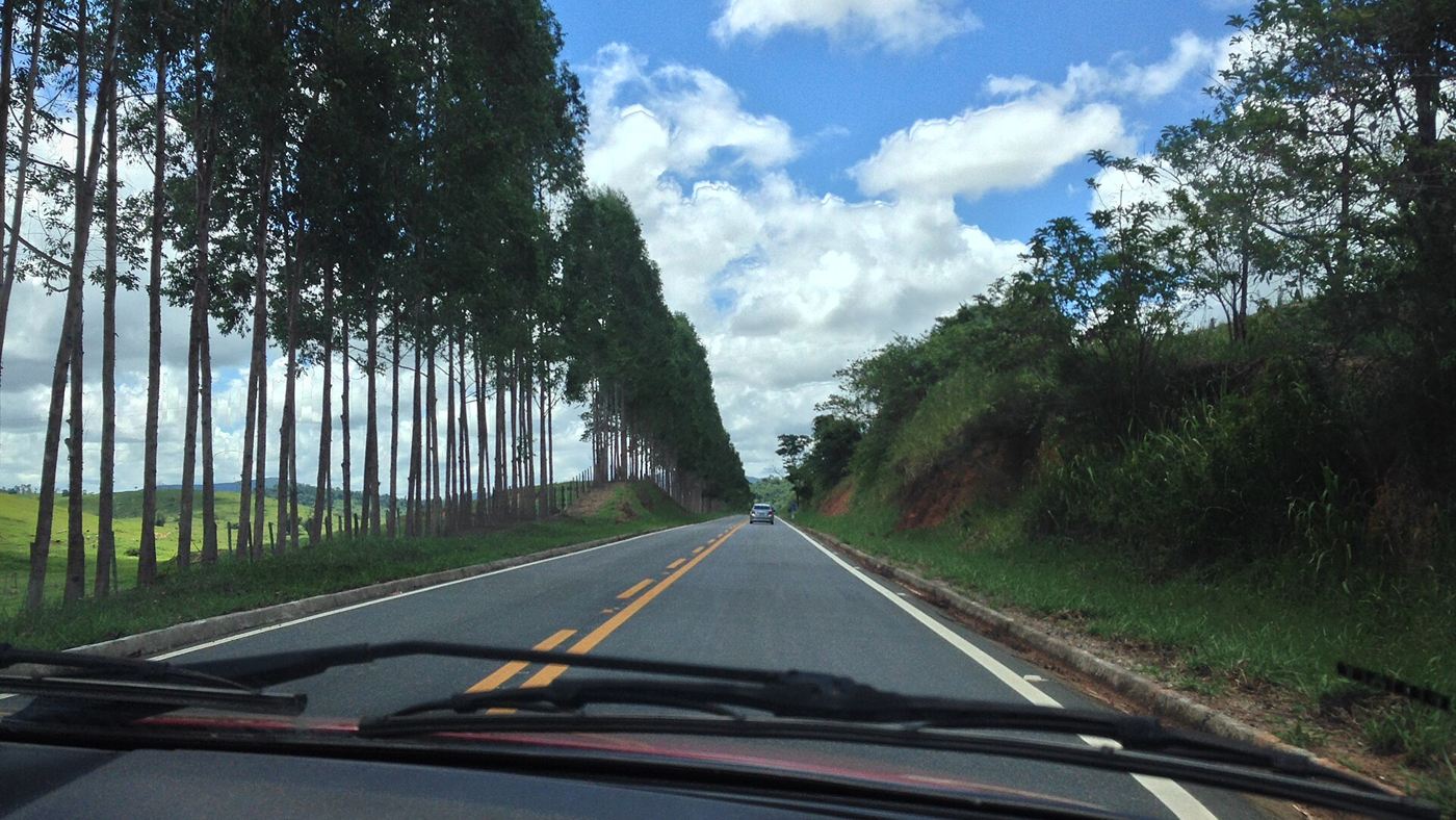 Renovação automática da CNH: motorista dirige em rodovia brasileira, cenário da nova regra do governo para quem tem entre 50 e 69 anos