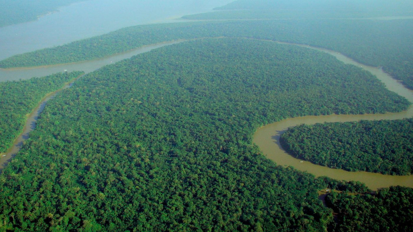 Vista aérea da floresta amazônica e de um rio sinuoso no Amazonas