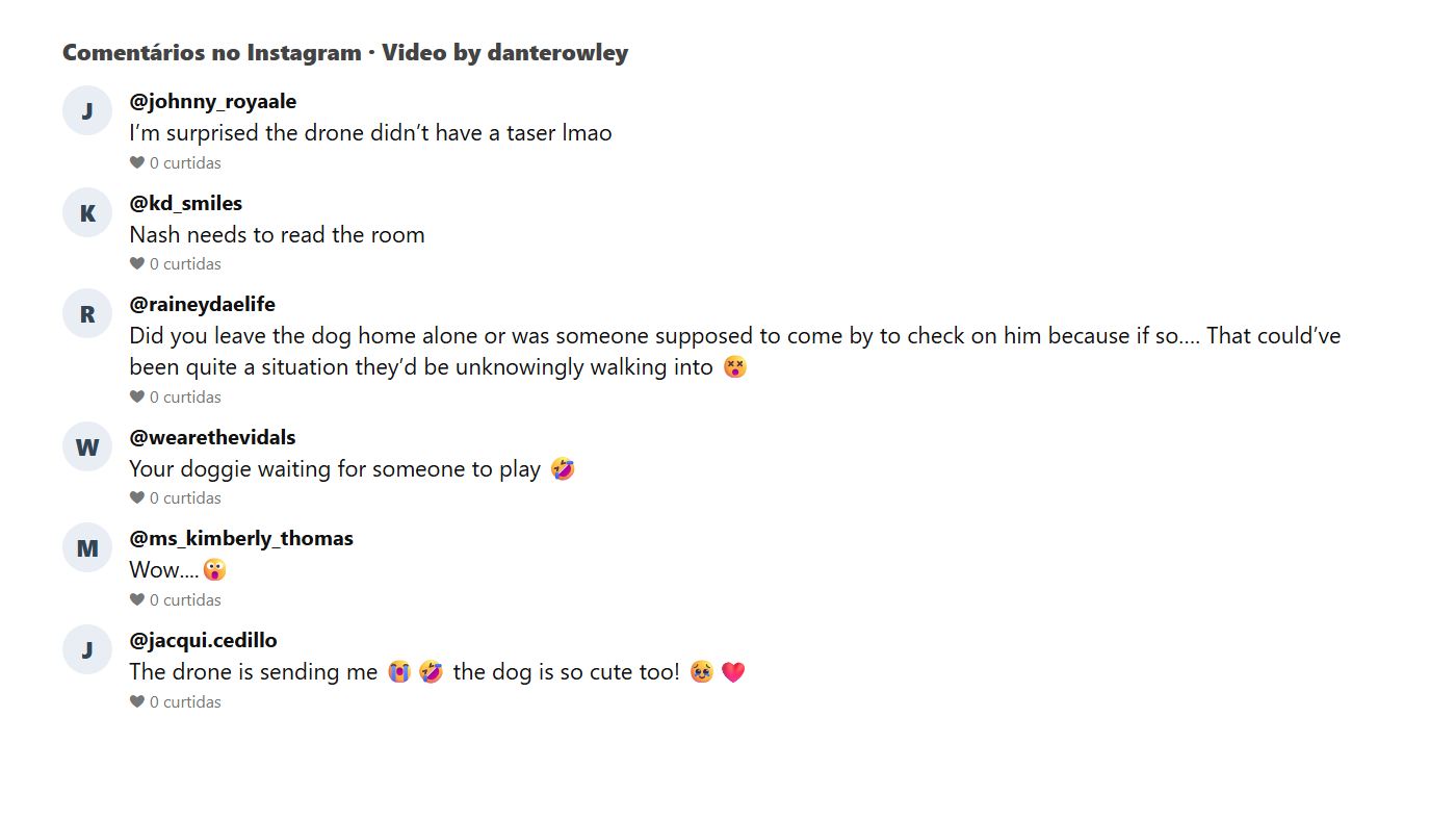 Print dos comentários do público no vídeo do golden retriever brinca com invasor no Instagram