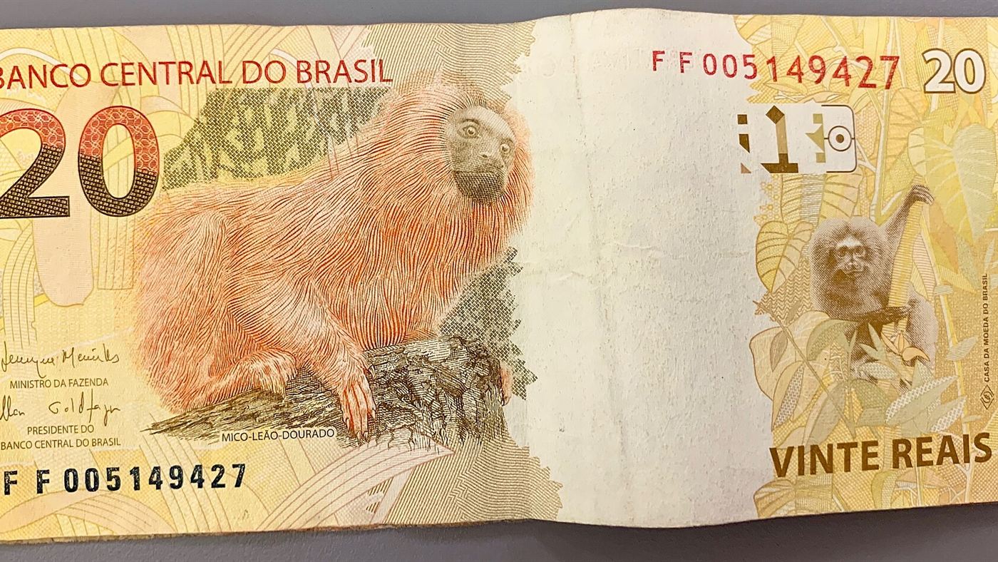 Poupança, CDB e Tesouro: cédula de 20 reais do Banco Central do Brasil, usada para ilustrar a simulação de rendimento
