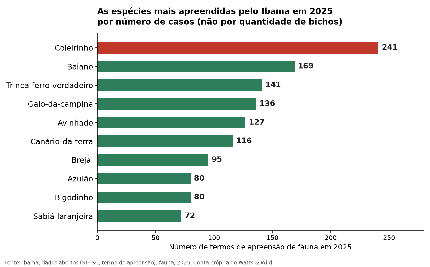 Gráfico de barras com as dez espécies com mais casos de apreensão de fauna do Ibama em 2025, coleirinho em primeiro lugar