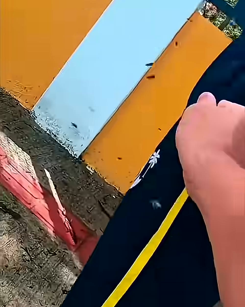 Cena do vídeo viral: motoboy salvou menina abelhas