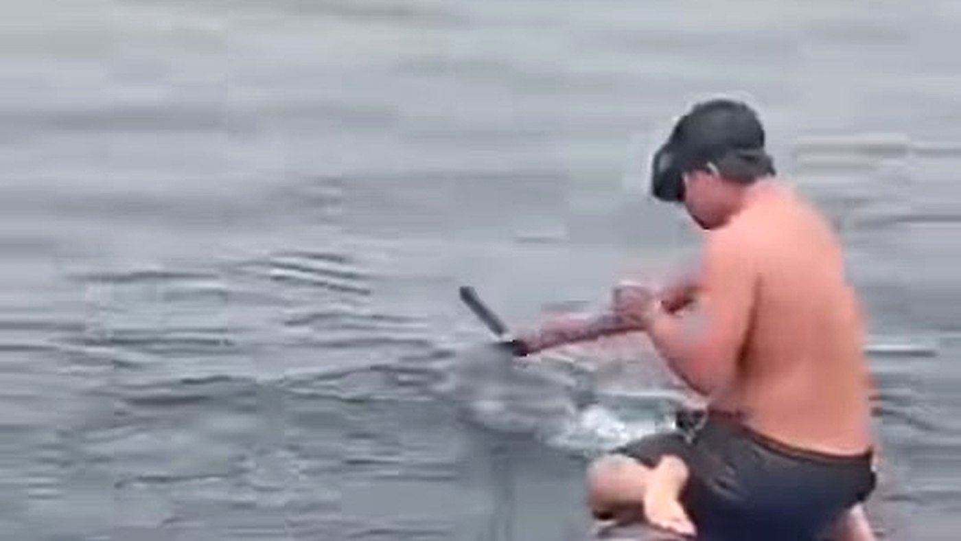 Pescador sobe no dorso da baleia presa em rede no Peru