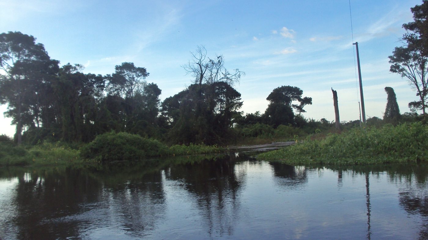 Trecho do rio Cuiabá cercado de vegetação, no Pantanal mato-grossense