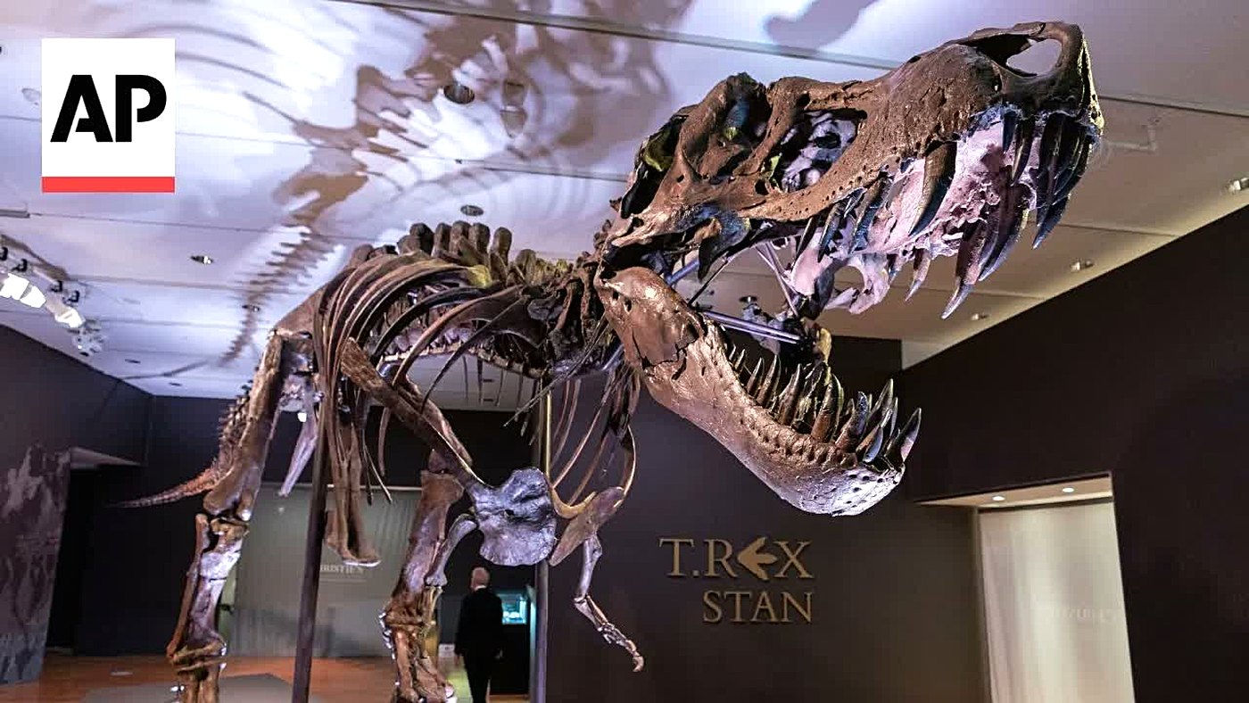 Temperatura: esqueleto fóssil de T. rex, a espécie que um estudo da UCLA mostrou ter sangue quente e corpo a 36,3°C