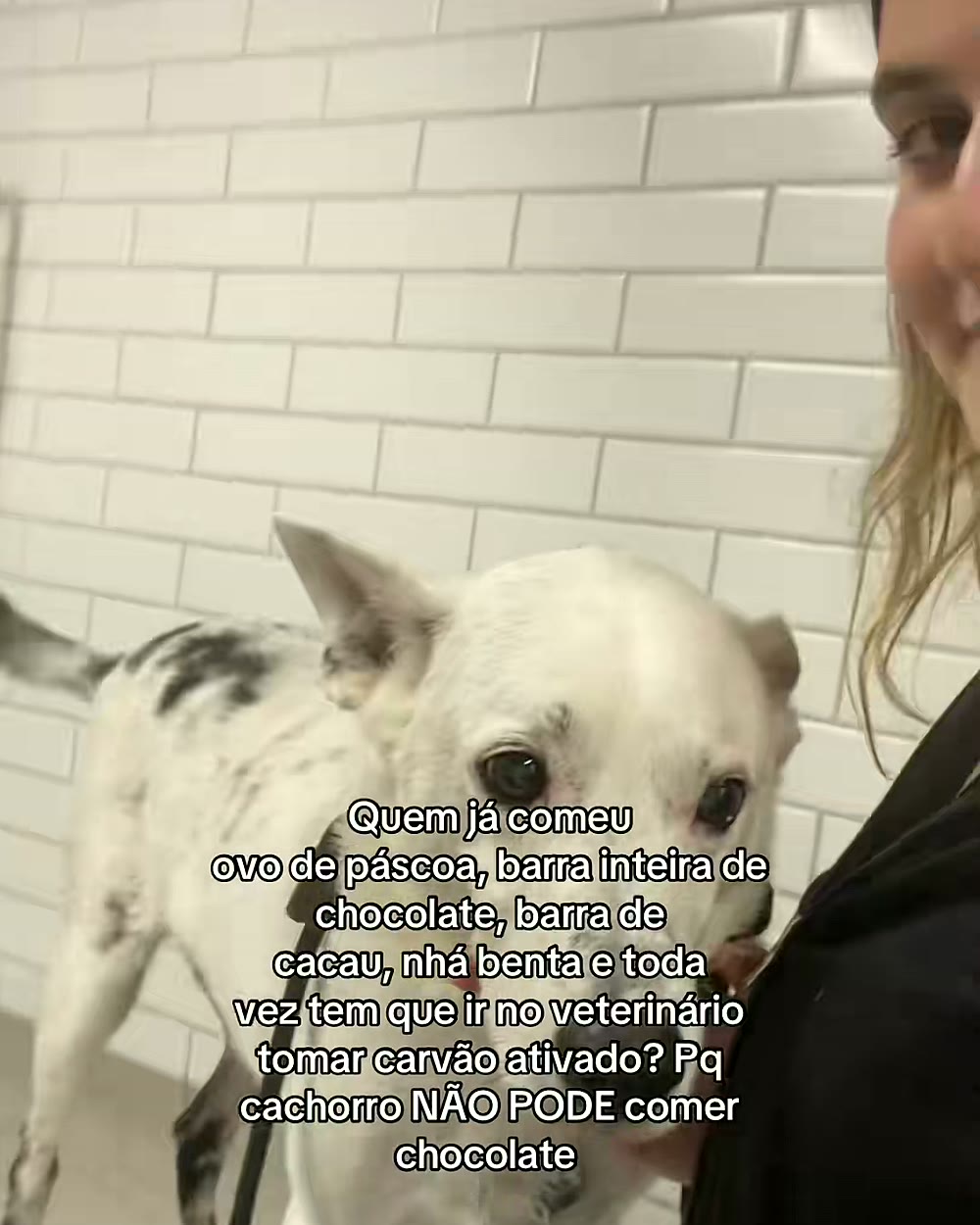 Andrée Gabrielle, avó de Isabela de Ridder, com o cachorro Buddy ainda todo preto, antes do vitiligo aparecer