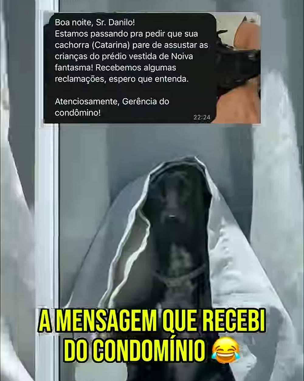 Cena do vídeo viral: cadela noiva fantasma janela