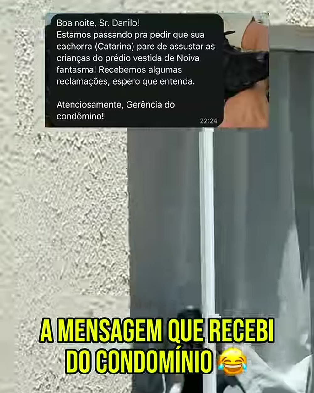 Print do vídeo de Catarina mostrando a suposta mensagem do condomínio, invenção do tutor Danilo Praxedes