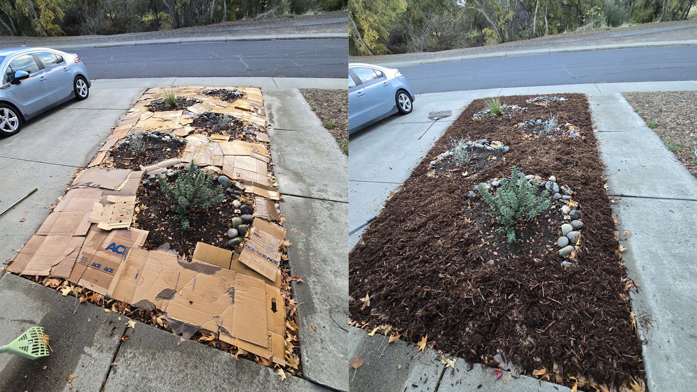 Canteiro de jardim coberto com papelão antes e depois de receber uma camada de adubo por cima