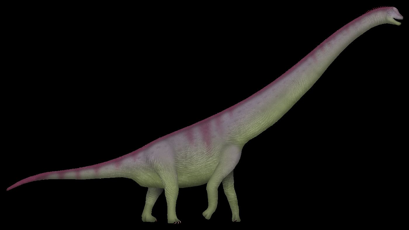 Reconstituição artística do Garumbatitan morellensis, saurópode da Espanha apontado como o parente mais próximo do Dasosaurus tocantinensis.