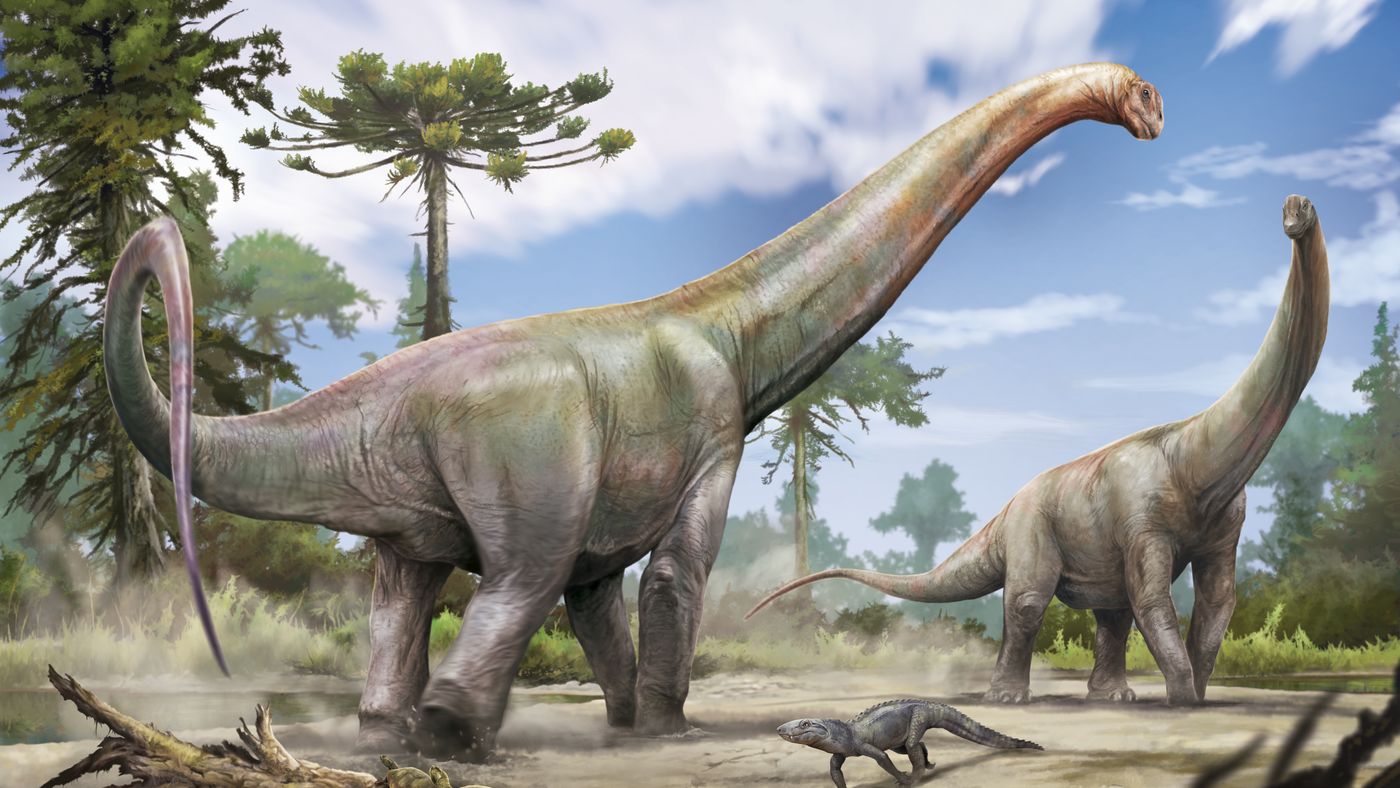 Reconstituição artística do Dasosaurus tocantinensis, saurópode descrito a partir de ossos achados em Davinópolis (MA), divulgada pela Univasf