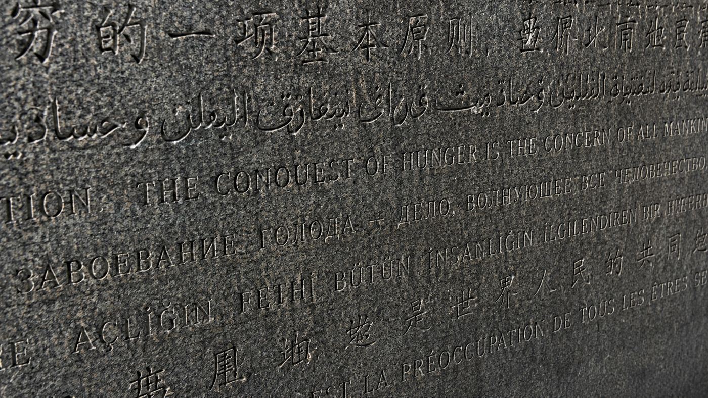 A close view of a granite slab from the Georgia Guidestones engraved with rows of text in several different alphabets