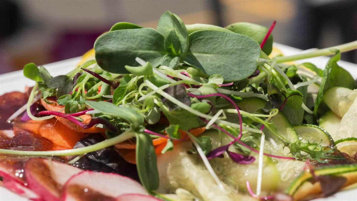 Prato com salada finalizado com microverdes crus por cima