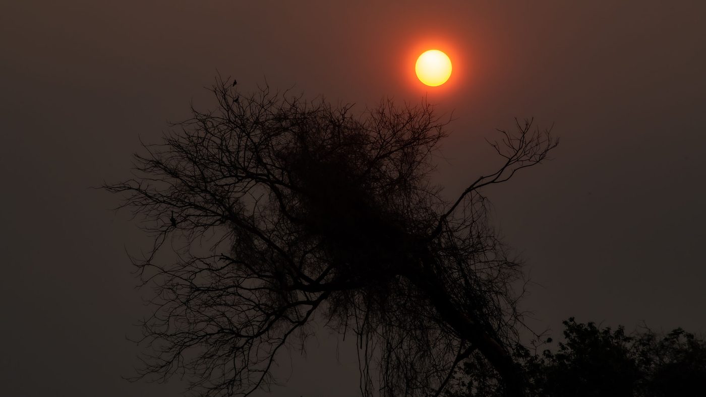Sol avermelhado por trás da fumaça de incêndios florestais no Pantanal, fenômeno que se repete a cada temporada de fogo no bioma