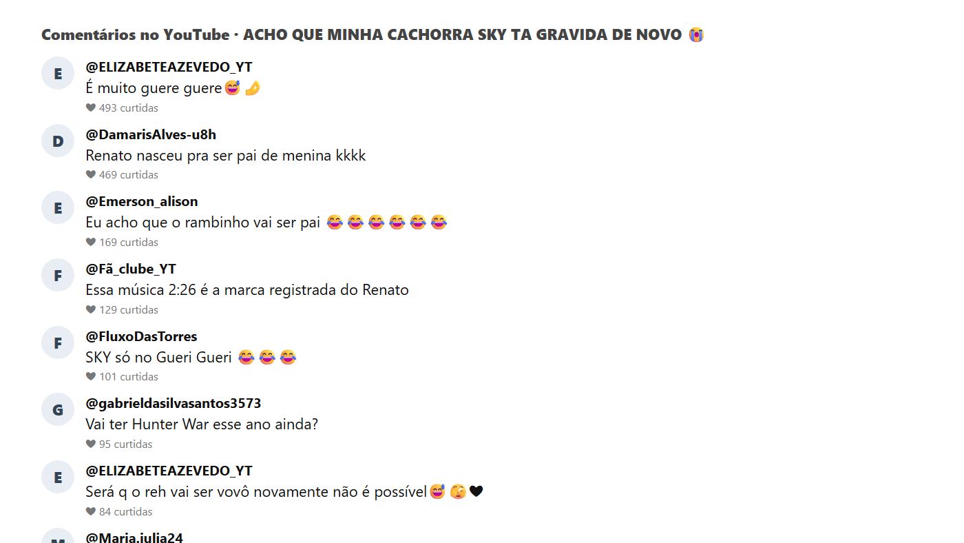 Comentários do público no vídeo de Renato Garcia sobre a possível gravidez da cachorra Sky