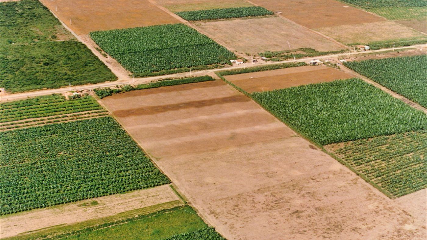 Área de fruticultura irrigada no Vale do São Francisco, perto de Petrolina
