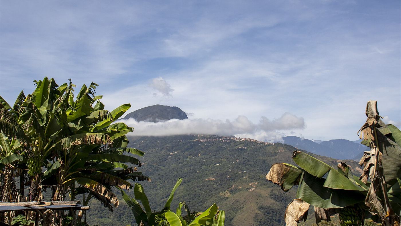 Vale dos Yungas, na Bolívia, região de floresta de altitude onde vive o tilcayo