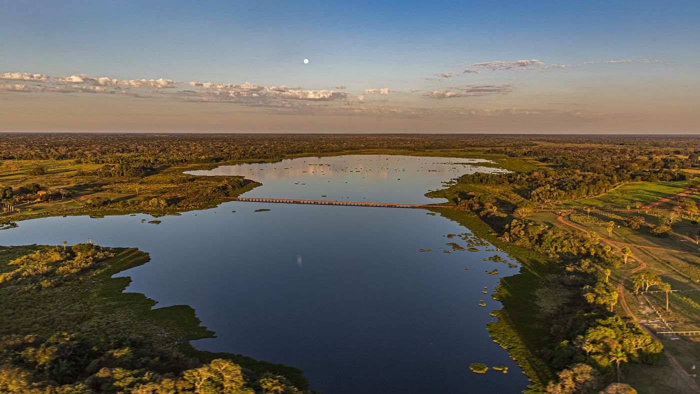 Vista aérea da Estância Caiman, em Miranda (MS), fazenda do Pantanal onde o veado-campeiro foi fotografado trocando o velame da galhada