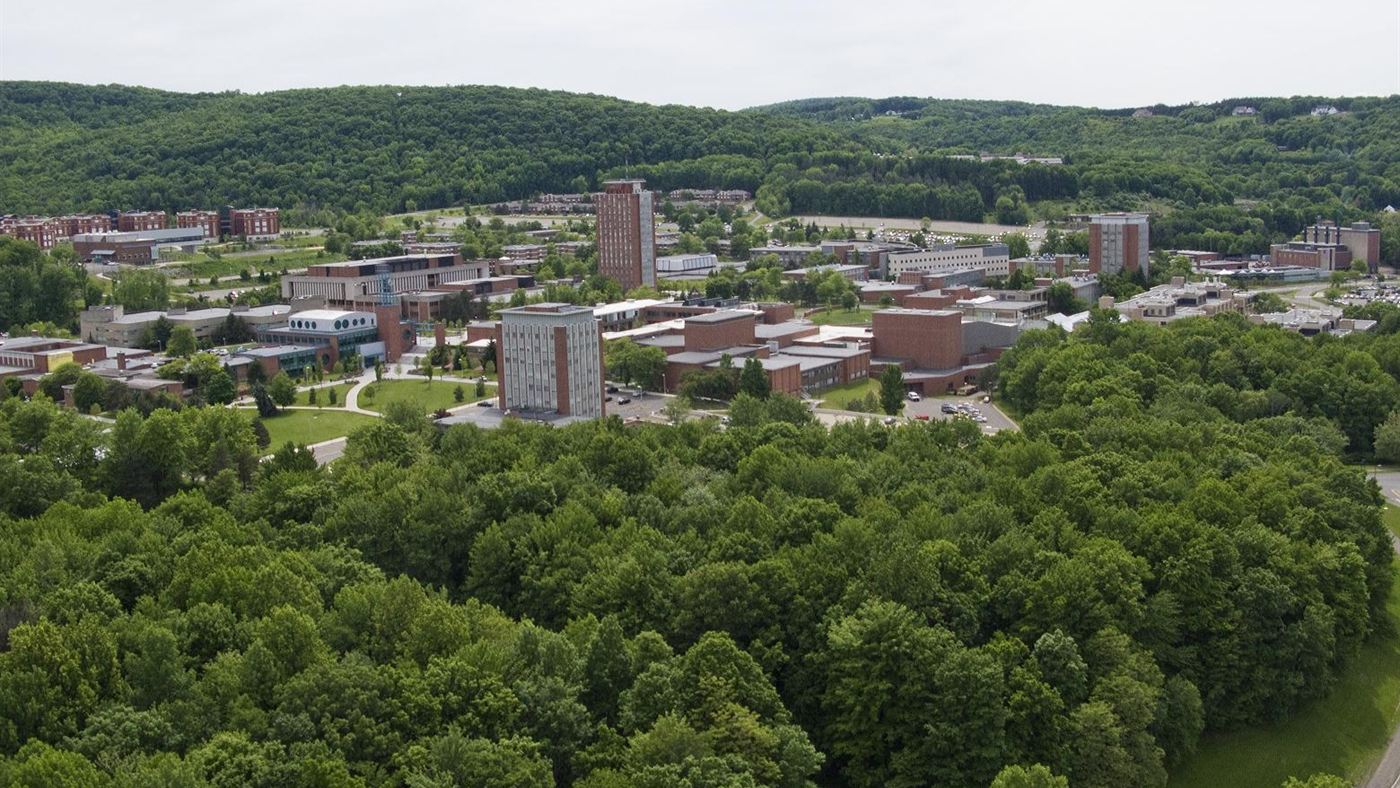 Wordle matemática: vista aérea do campus da Universidade de Binghamton, nos Estados Unidos