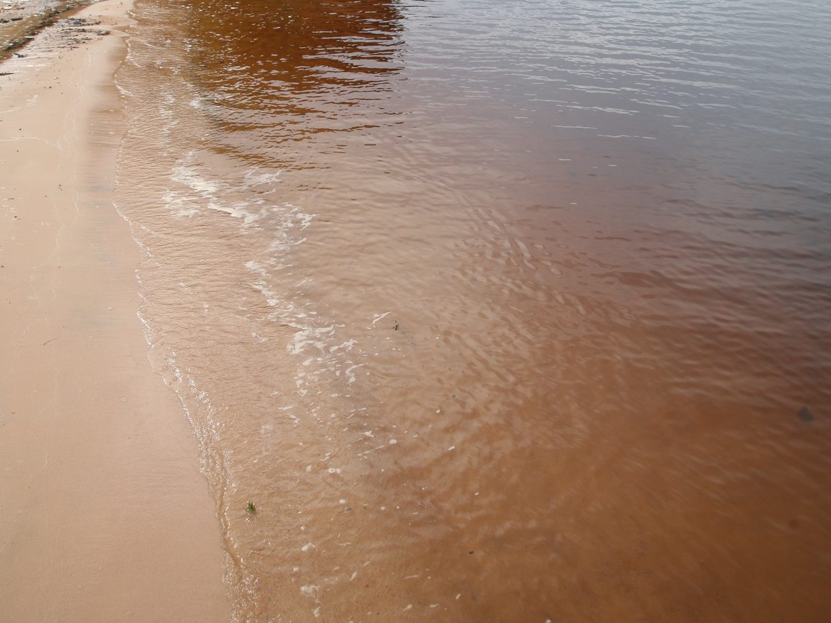 Água rasa marrom-avermelhada e transparente batendo na areia clara de uma praia