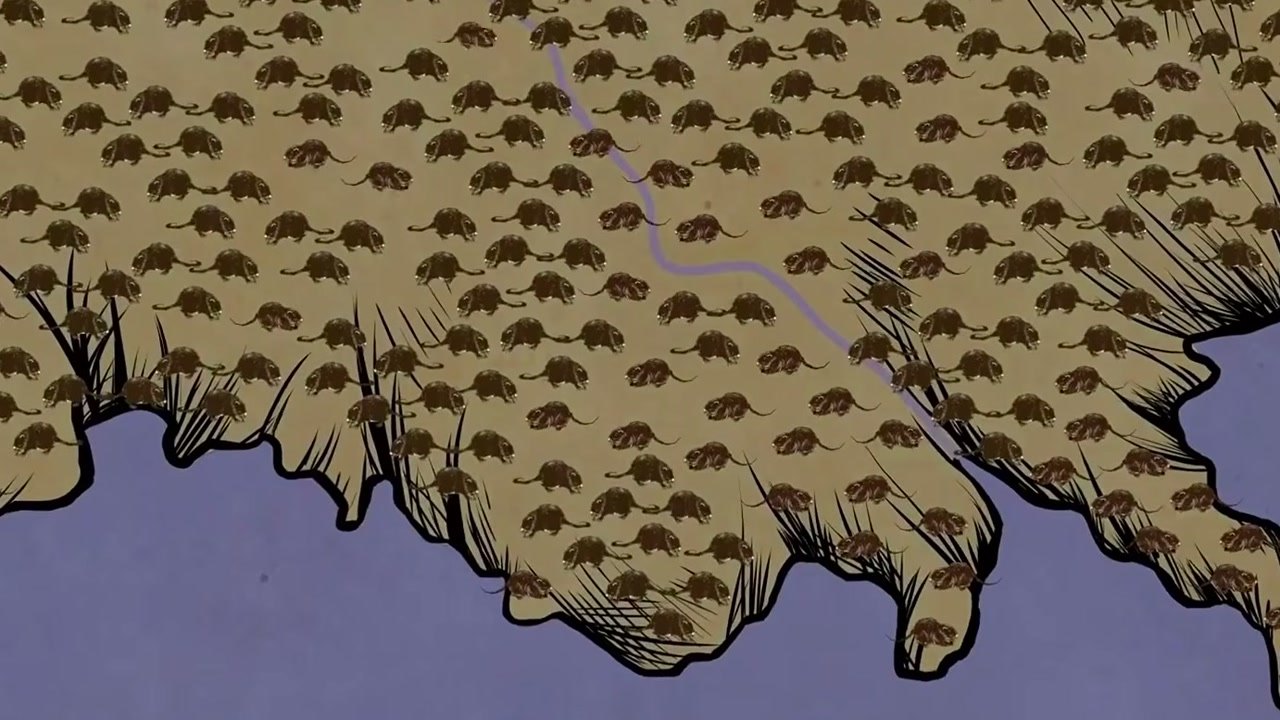 Imagem de divulgação: Vídeo apresenta aligátores como aliados contra nútrias invasoras, mas possibilidade de exterminar os roedores vem de modelo populacional, não de resultado comprovado nos pântanos
