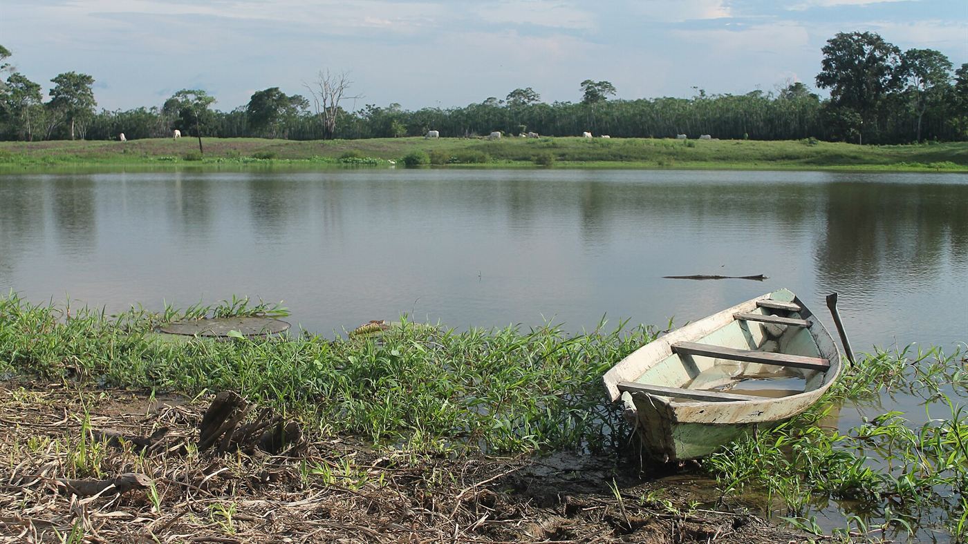 Pequeno lago isolado do rio Solimões depois que o nível da água baixou na seca de 2023, no Amazonas