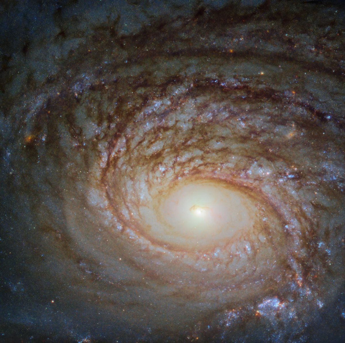 Centro do Arp 78 visto pelo Hubble, com núcleo brilhante e braços espirais cheios de faixas escuras de poeira, sem uma barra central