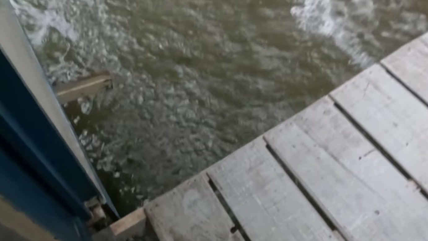 Imagem de divulgação: Casinha flutuante balança durante tempestade no Rio Paraná, e Gabriel Guelfi precisa reforçar cordas enquanto escada cai e telha ameaça se soltar