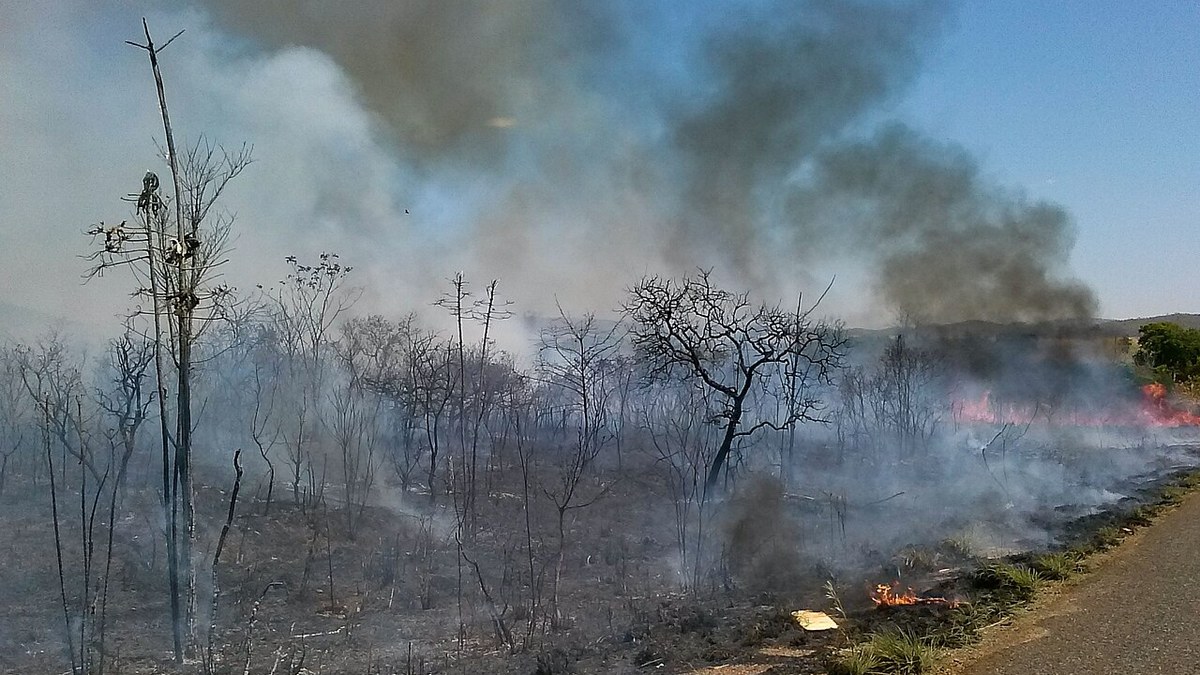 Queimada à beira de uma estrada no Cerrado, com fumaça escura, árvores secas e chamas baixas no chão