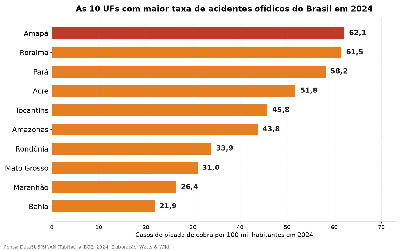 Gráfico de barras com as dez UFs de maior taxa de picada de cobra por 100 mil habitantes em 2024, liderado por Amapá, Roraima e Pará