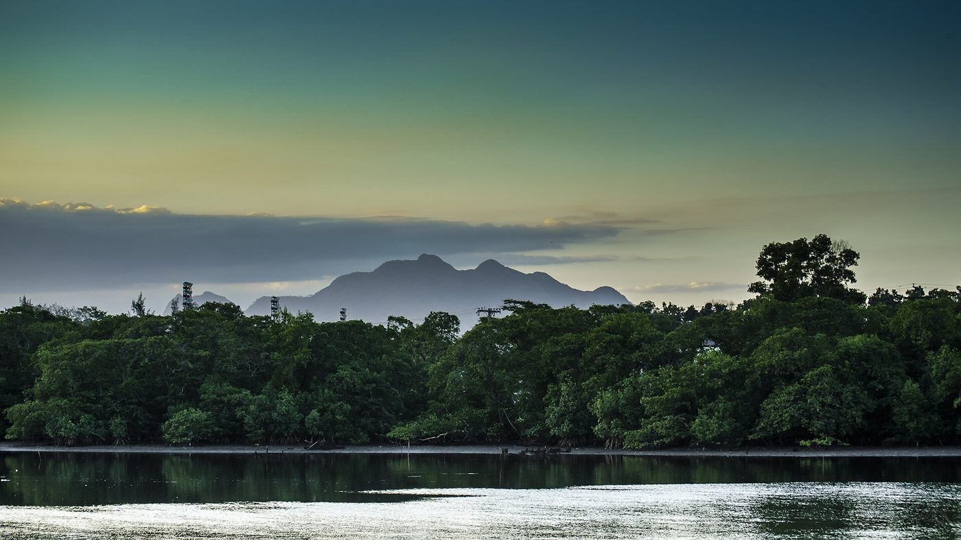 Manguezal fechado à beira d'água no Espírito Santo, com o Monte Mestre Álvaro ao fundo sob céu de fim de tarde
