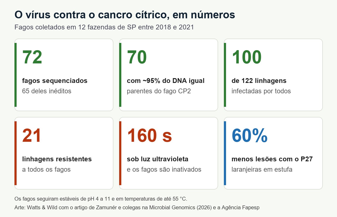 Quadro com seis números do estudo: 72 fagos, 70 quase idênticos, 100 de 122 linhagens infectadas, 21 resistentes, 160 segundos sob UV e 60% menos lesões