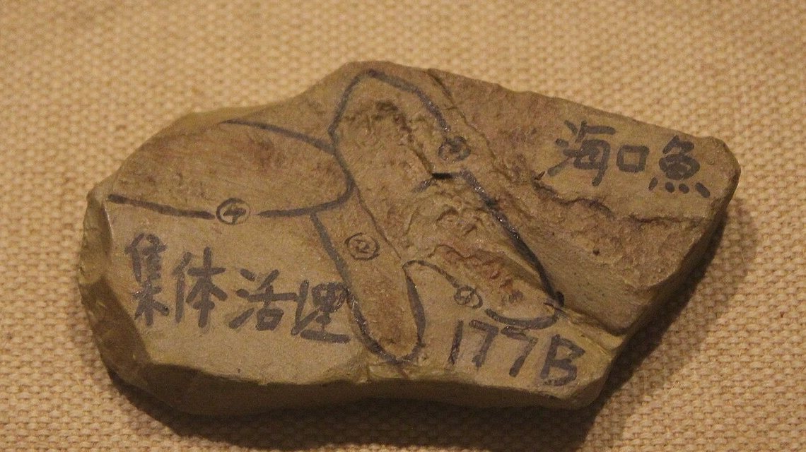 Placa de rocha cinza com o fóssil de Haikouichthys, peixe sem mandíbula de Chengjiang, contornado a tinta e com etiquetas em chinês, em vitrine de museu