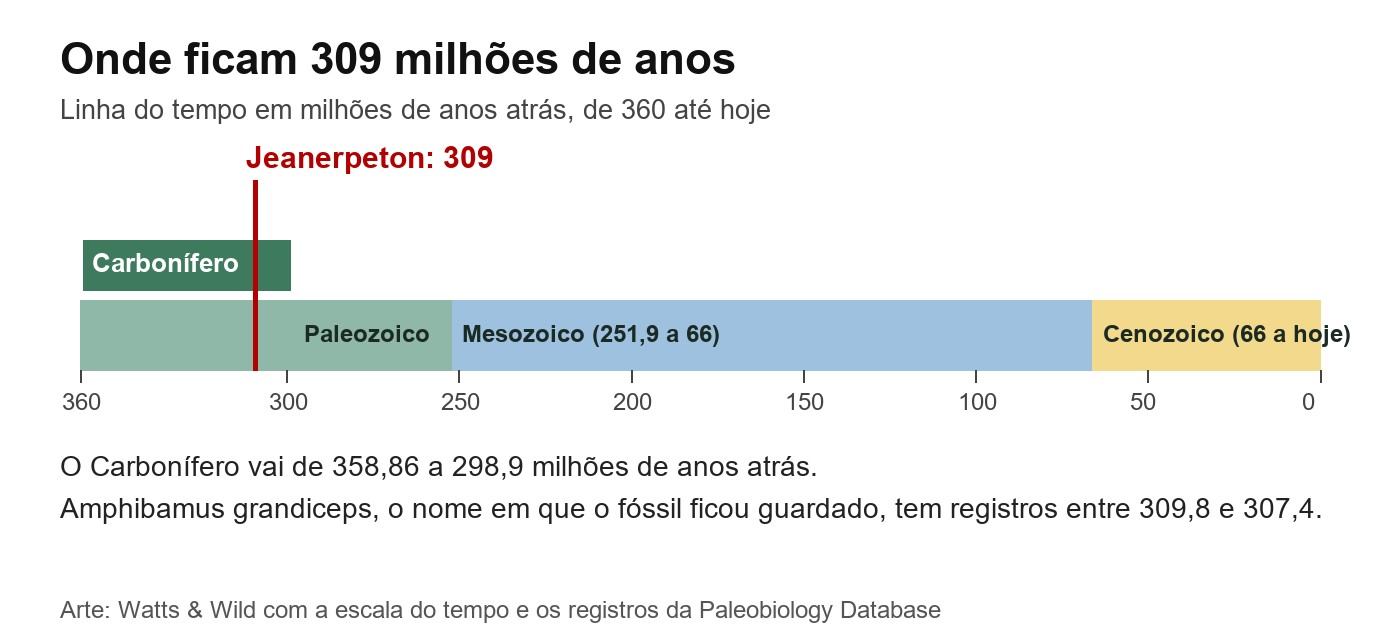 Linha do tempo de 360 milhões de anos até hoje com o Carbonífero destacado e uma marca vermelha em 309 milhões de anos, onde viveu o Jeanerpeton
