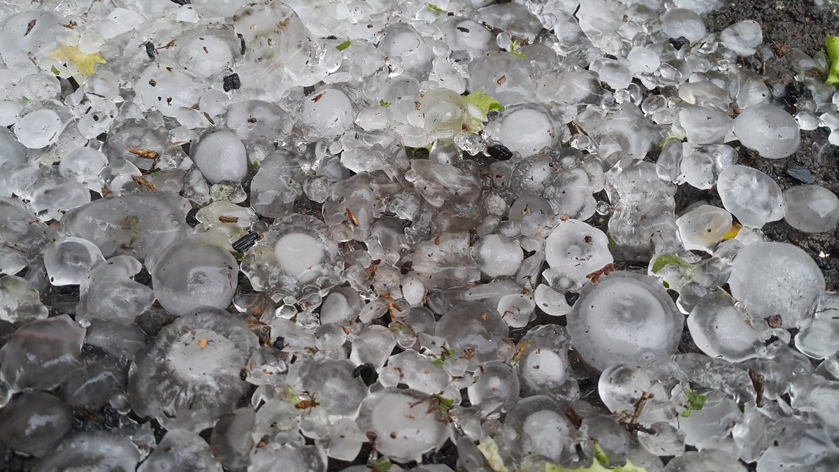 Chão coberto de pedras de granizo de vários tamanhos depois da tempestade em Taubaté