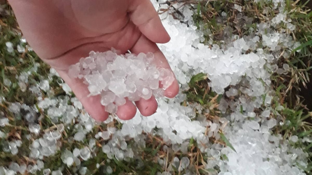 Mão estendida com punhado de pedras de granizo pequenas e brancas, sobre grama coberta de gelo