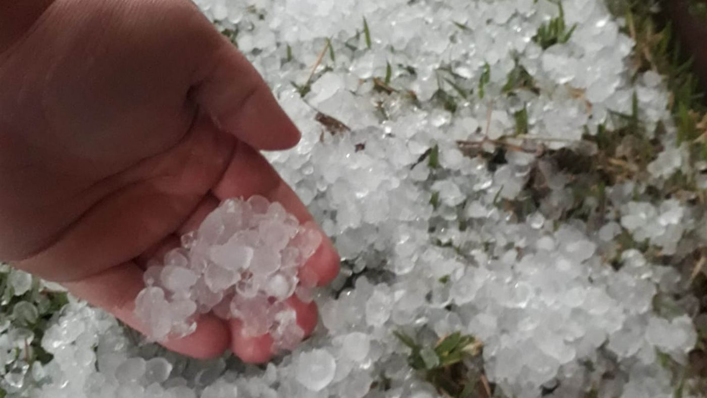 Mão segurando um punhado de granizo sobre um tapete de gelo formado na grama após temporal em Telêmaco Borba, no Paraná