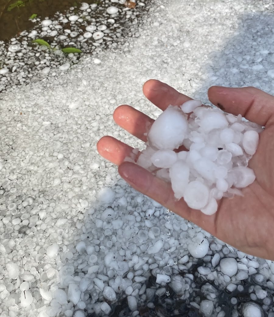 Mão segurando pedras de granizo recolhidas do chão coberto de gelo em Santiago do Sul, Santa Catarina