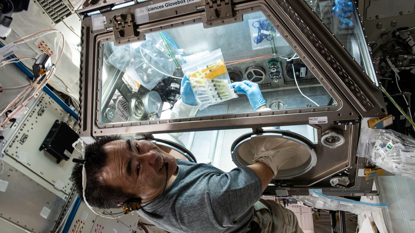 Astronauta sorri dentro do módulo Kibo, ao lado da caixa de luvas onde manuseia o experimento Cell Science-04 com tardígrados