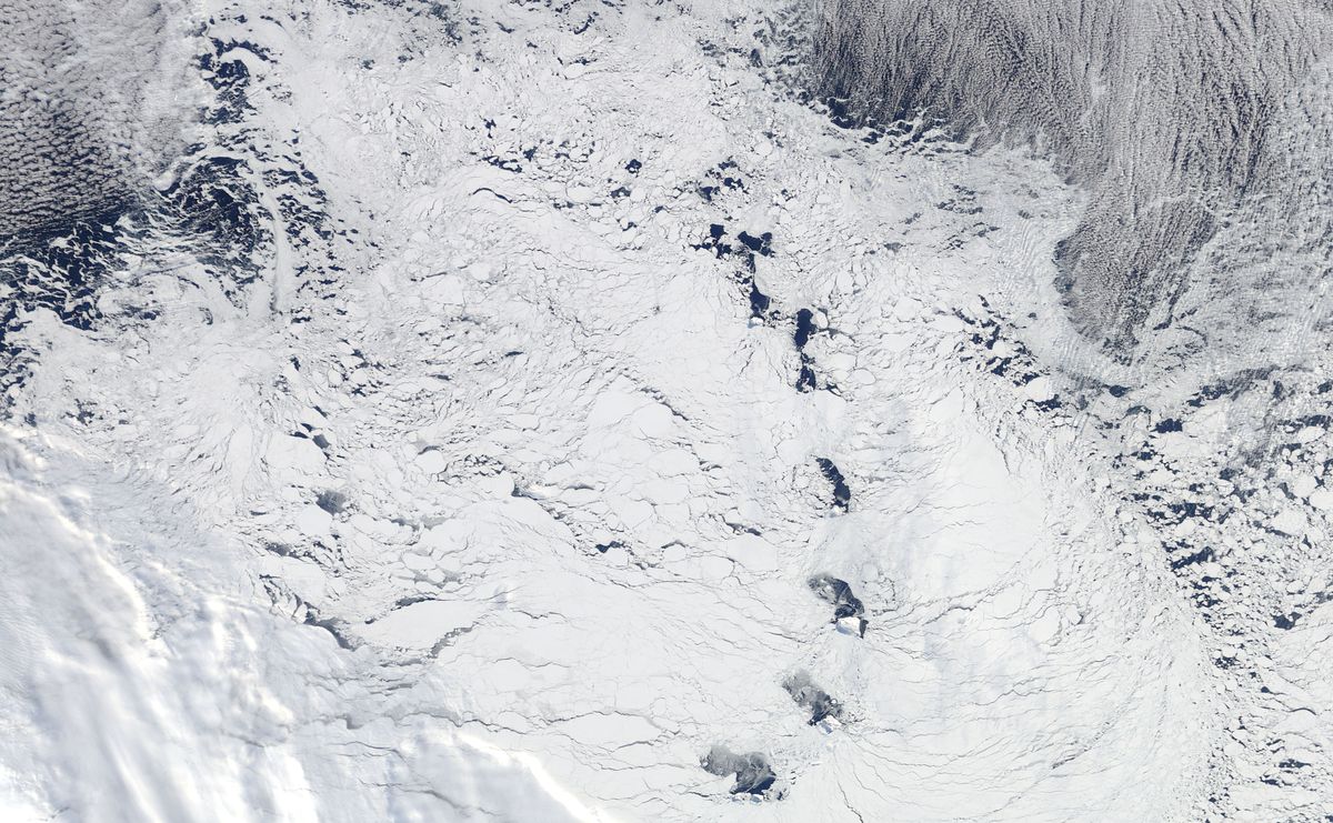 Imagem de satélite de um mar coberto de gelo branco, com pequenas ilhas escuras em fila no meio