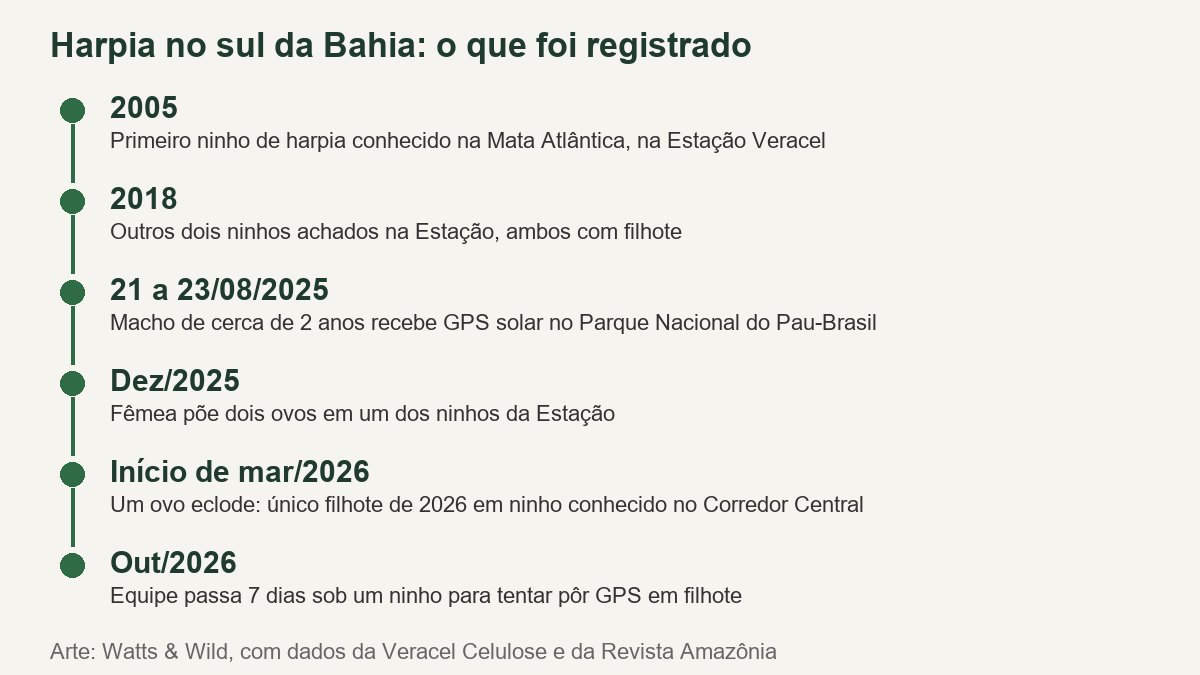 Linha do tempo com seis marcos da harpia no sul da Bahia, de 2005 a outubro de 2026