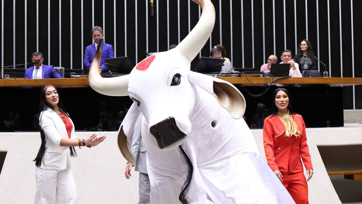 Lívia Christina cunhã-poranga: boi-bumbá em homenagem cultural no plenário da Câmara dos Deputados em Brasília