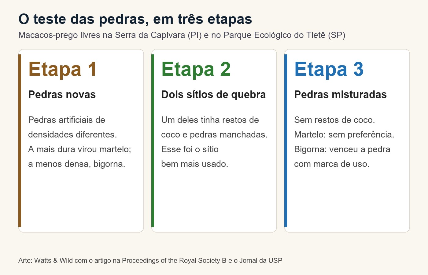Quadro com as três etapas do teste: pedras novas, dois sítios de quebra e pedras misturadas, com o que o macaco-prego escolheu em cada uma