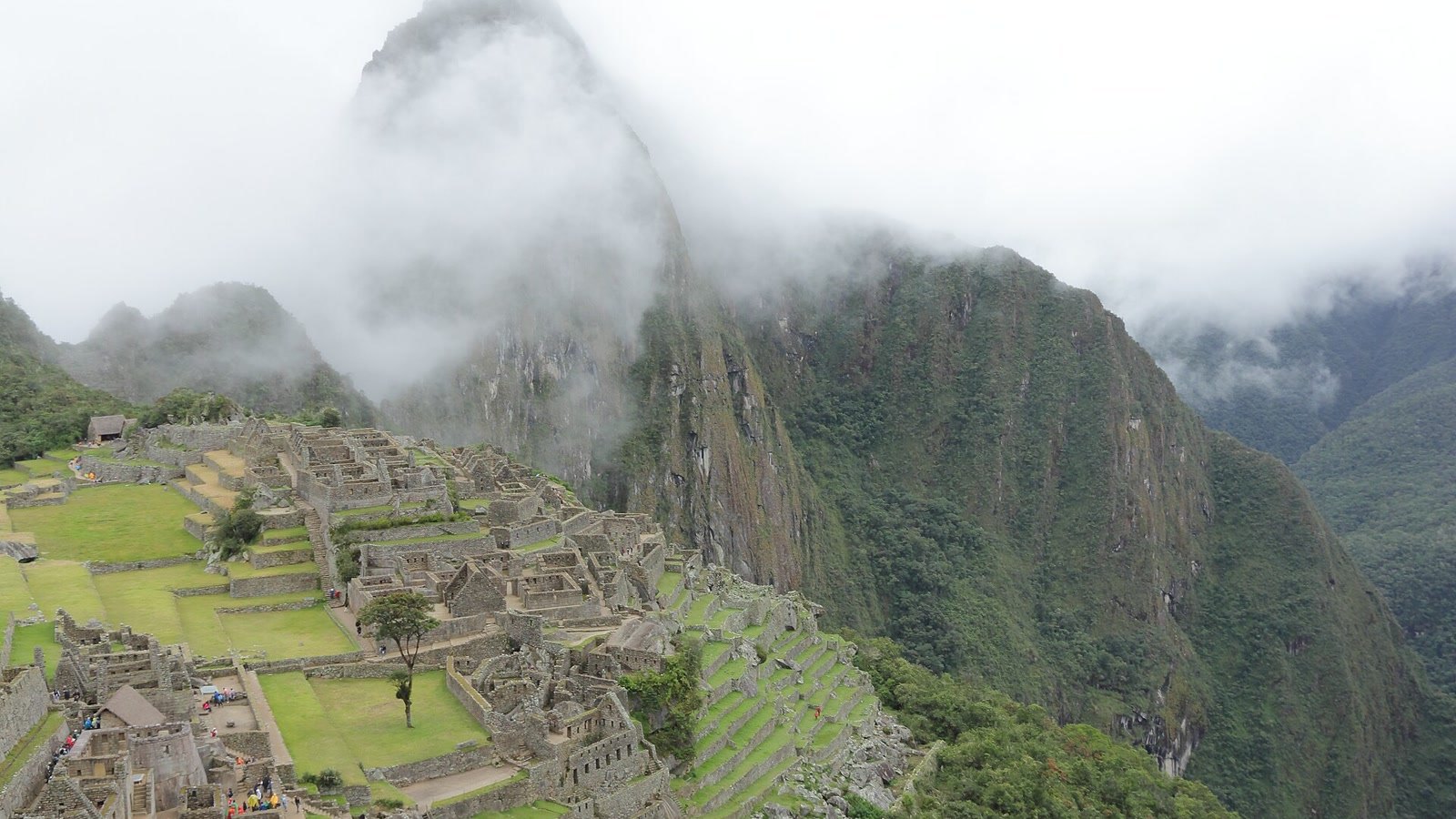 Imagem de divulgação: Ruína inca no coração dos Andes guarda centenas de espécies de aves e orquídeas